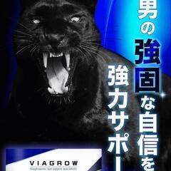 【新品未開封！】 VIAGROW 男性用 マカ シトルリン サプリメント 20錠 200mgの画像