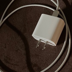 急速充電器　Apple純正