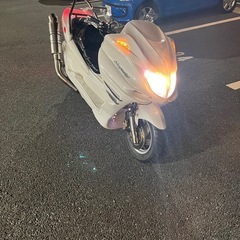 マジェシティーの画像