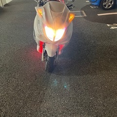 マジェシティーの画像