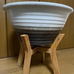 大型睡蓮鉢メダカ鉢ビオトープ①