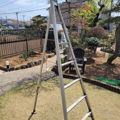 アルミ製 園芸用 三脚 8尺(240cm) 