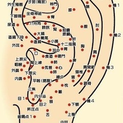 耳つぼ1Day講座の画像
