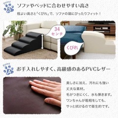 ペットステップの画像