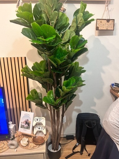 4/20まで掲示⭐️新品⭐️店舗インテリア装飾フェイクグリーン