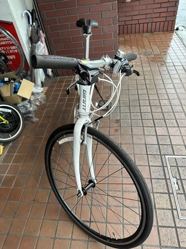 ミニベロ tern(ターン) 2021モデル Surge(サージュ) MAXI VELO