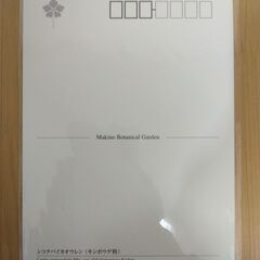 ポストカード　牧野植物園　シコクバイカオウレンの画像