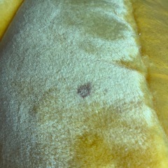 ミッキーマウスぬいぐるみ特大の画像