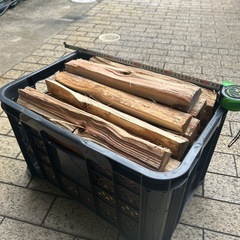 針葉樹の中古が安い！激安で譲ります・無料であげます｜ジモティー