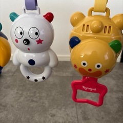 ファンファンジムの画像
