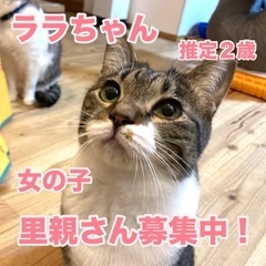 丸い顔がチャーミングな女の子