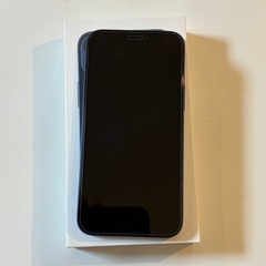 iPhone12 mini 256gb BLUE