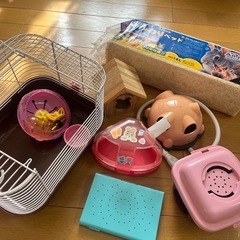取引成立　ハムスター　お家セットの画像