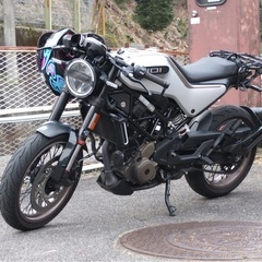 vitpilen401 車検R8年12月
の画像