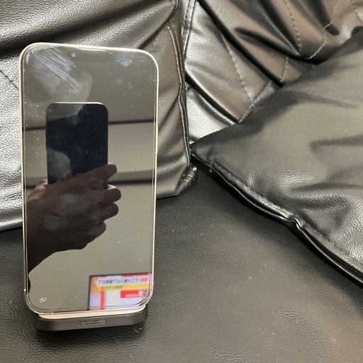 iPhone13pro  max