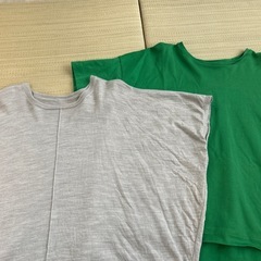 レディース　夏服　の画像