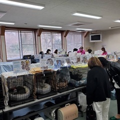 4/20(日)開催🎉保護猫の里親会in津市 - その他