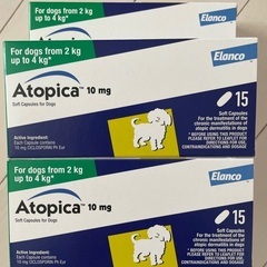 犬グッズ　おやつ