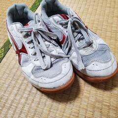 中学　上履き　25cm　中古