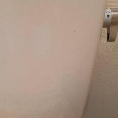 便器　 TOTO SH231BAの画像