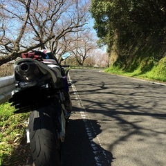 ヨシムラマフラー
の画像