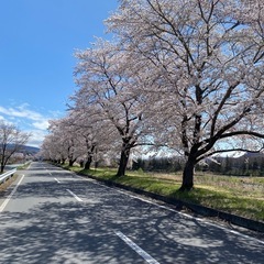 🌷新生活応援‼️アロママッサージ➕整体セット🌷 - キャンペーン