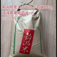 コシヒカリ玄米30kg減減農薬栽培米