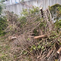 薪の画像