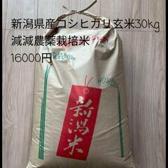 新潟県産コシヒカリ玄米30kg