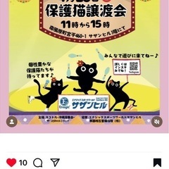 ネコドルの譲渡会