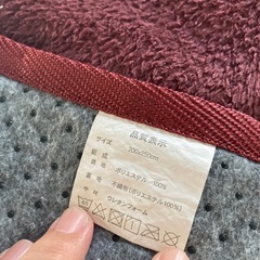 ⭕️最終値下げ‼️250×200cm薄手カーペット★パーガンディー色の画像