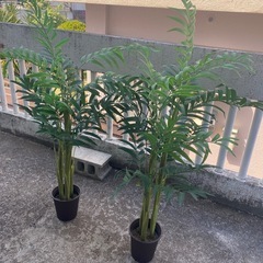観葉植物2セット（フェイク）