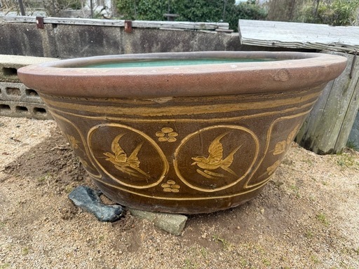 かなり大きいメダカ鉢　睡蓮鉢　洋風　インテリア かなり大きいメダカ鉢 睡蓮鉢 洋風 インテリア 睡蓮鉢 メダカ 洋風の