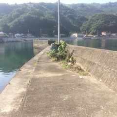 【DIY可】中古1戸建　愛媛県八幡浜市　穏やかで静かな場所 - 横浜市