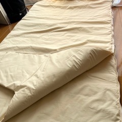 温感 遠赤外線マット シュアラインアルファ(α)の画像