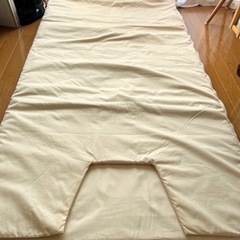 温感 遠赤外線マット シュアラインアルファ(α)の画像