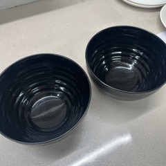 プラスチックお椀2個の画像