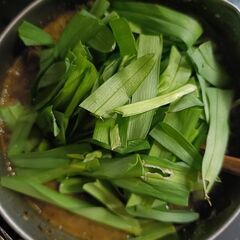 野草フィッシュココナッツカレー！ - 友達