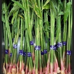 葉生姜買えるお店ありますか？