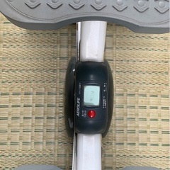 エアロライフ　サイドステッパーの画像