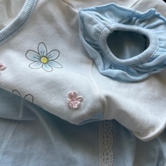 130⑤ souris スーリー　Tシャツ、キュロットの画像