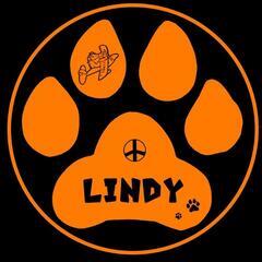 LINDBERGバンド　ベース募集