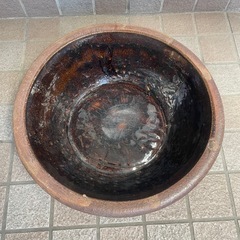 メダカ鉢金魚鉢睡蓮バチ
