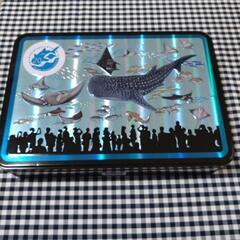 （20周年記念限定品）沖縄美ら海水族館のスチール缶