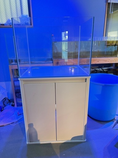 オールガラス　水槽　60センチ