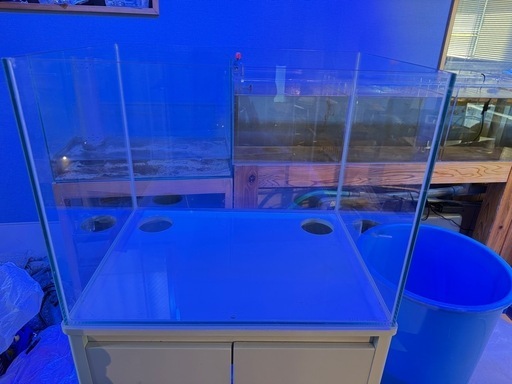 オールガラス　水槽　60センチ