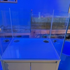オールガラス　水槽　60センチの画像