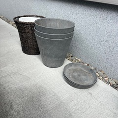 植木鉢ガーデニング