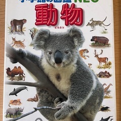 小学館の図鑑NEO 「動物」
