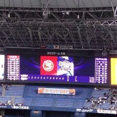オリックスバファローズファン募集